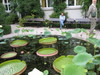 Hortus_020