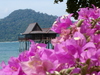 Pangkor_laut
