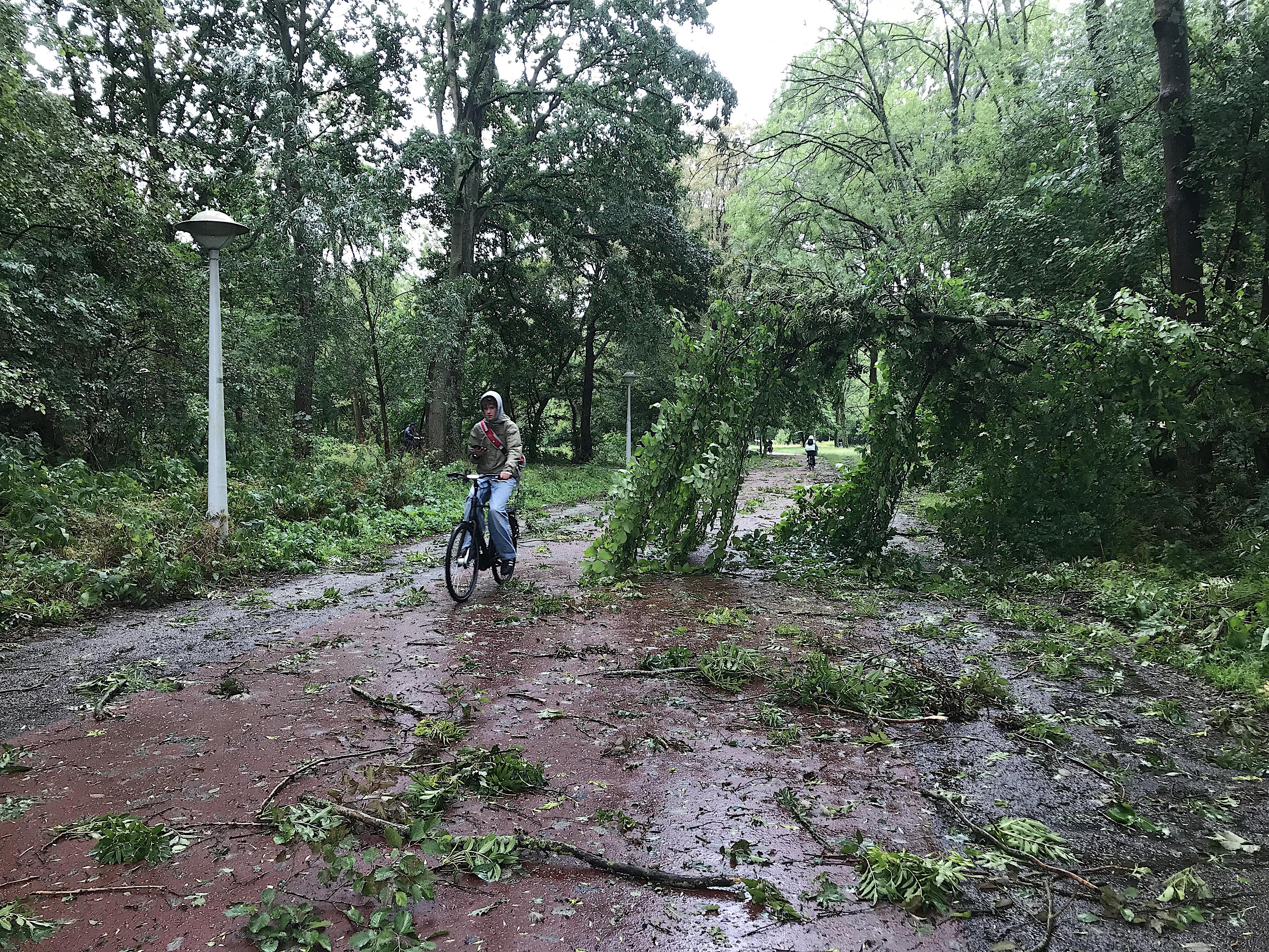 358366439_239733322194988_5326674407031663183_n