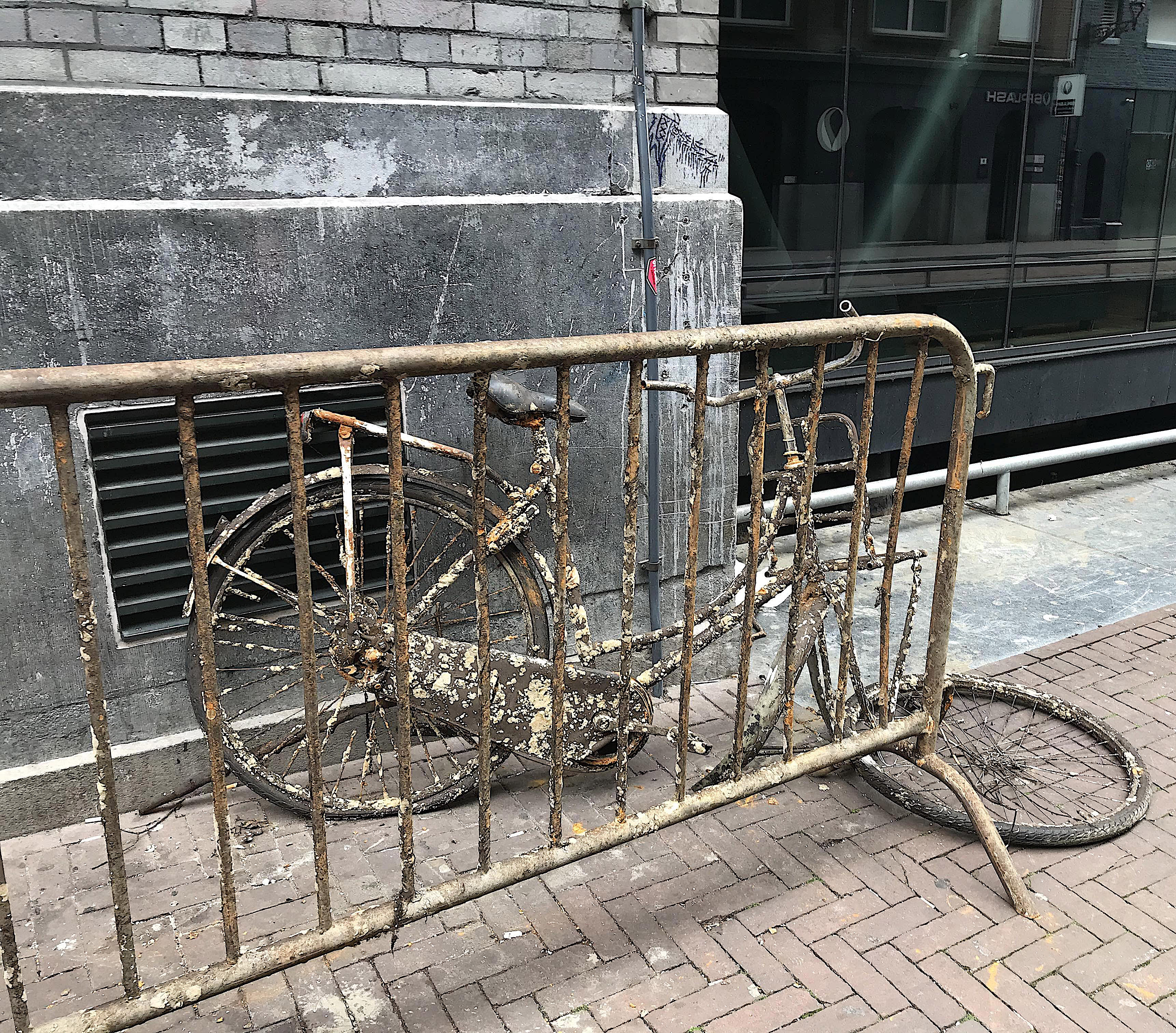 363495166_300839685770933_7593580954071116104_n