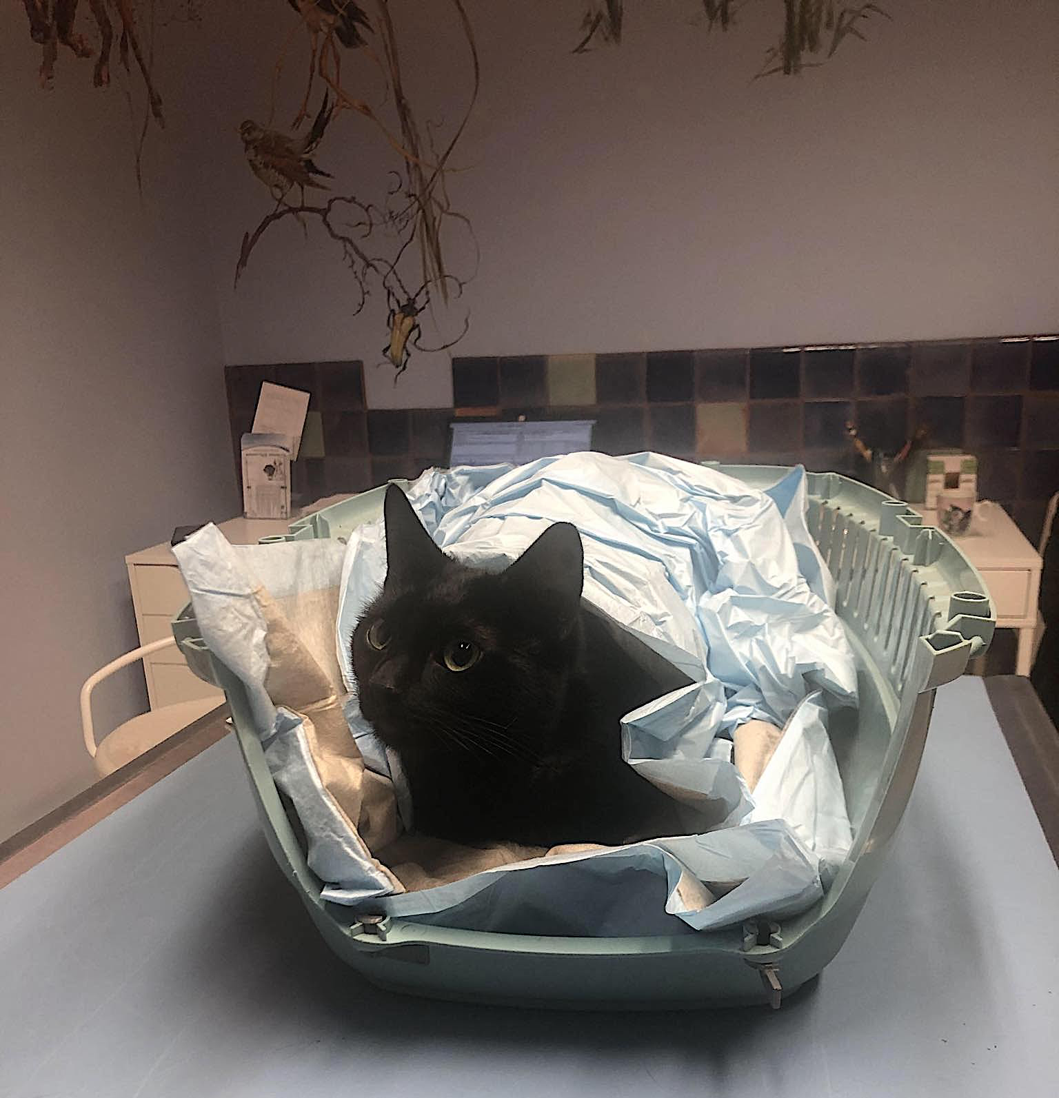 370241175_849699943569661_8210543939137811026_n