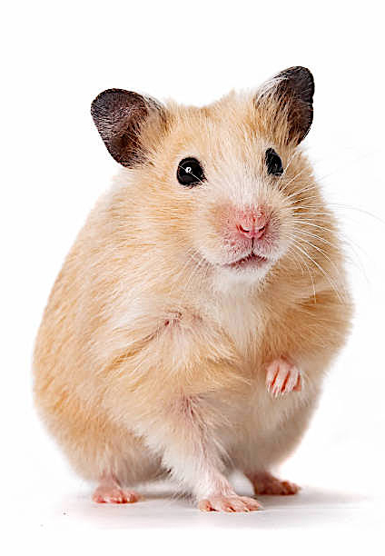 Mirror istockphoto-675804830-612x612