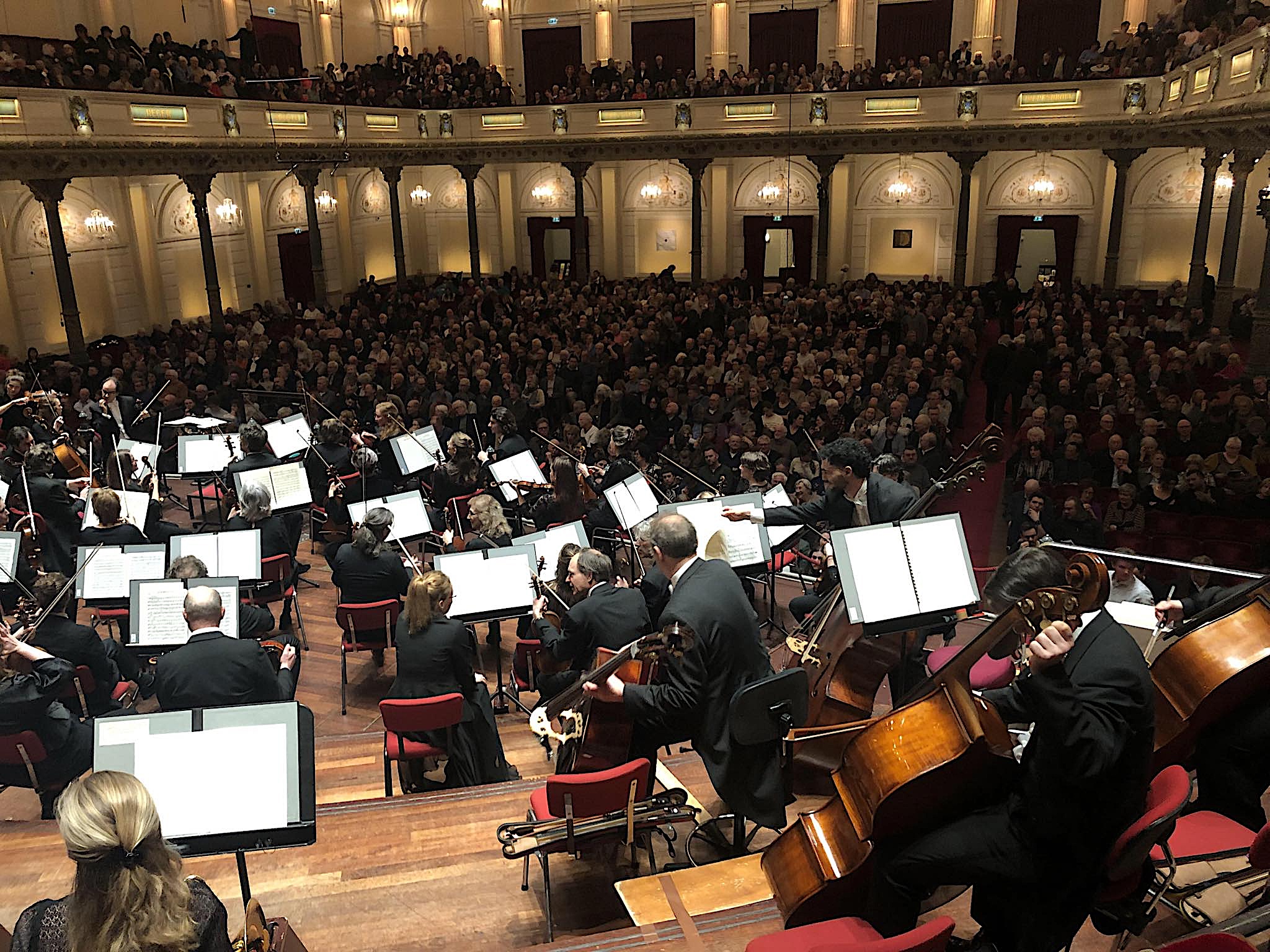 428041957_4354336574791843_1127092180641607208_n