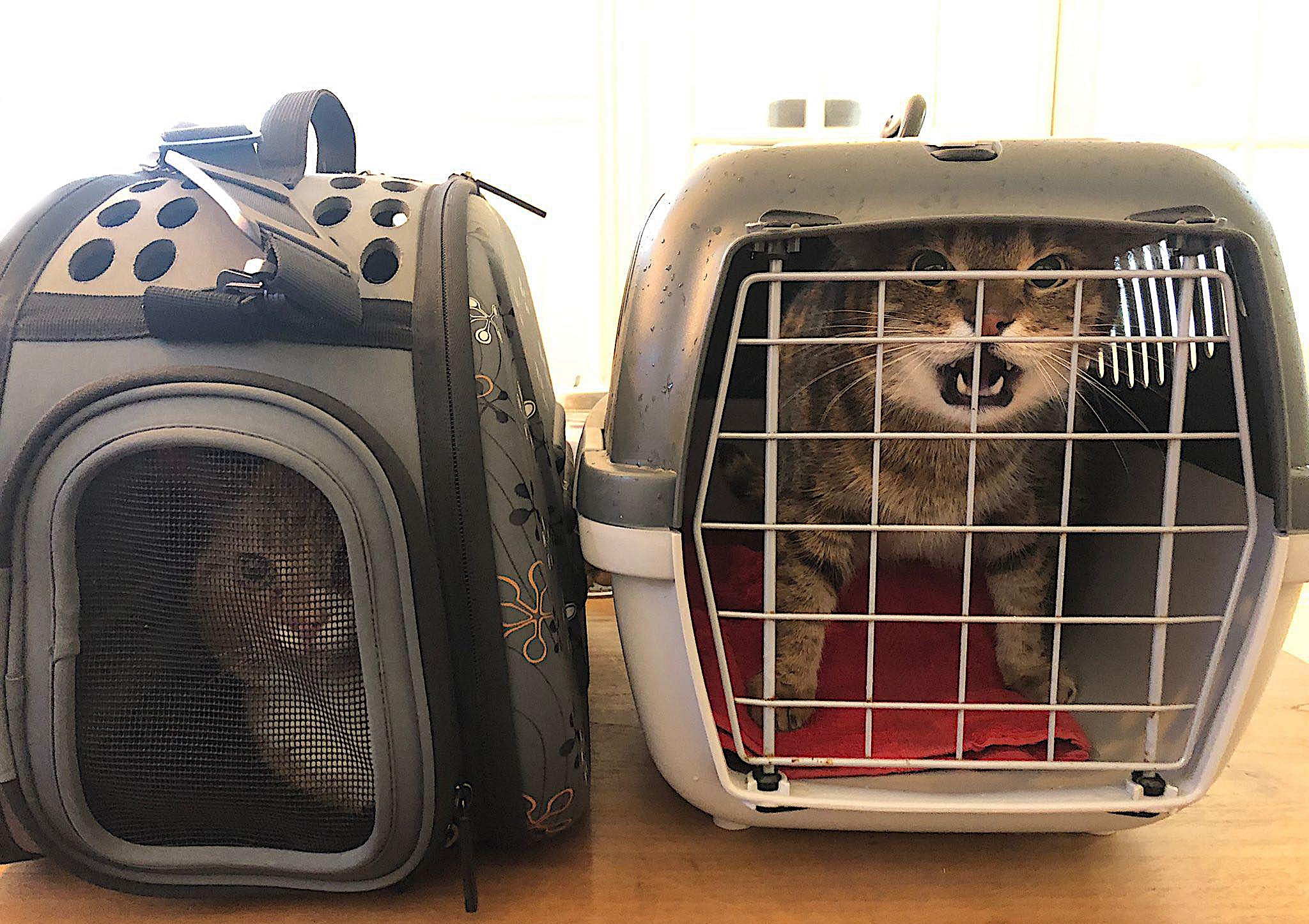 437205605_1159393282144351_6942402306534006353_n