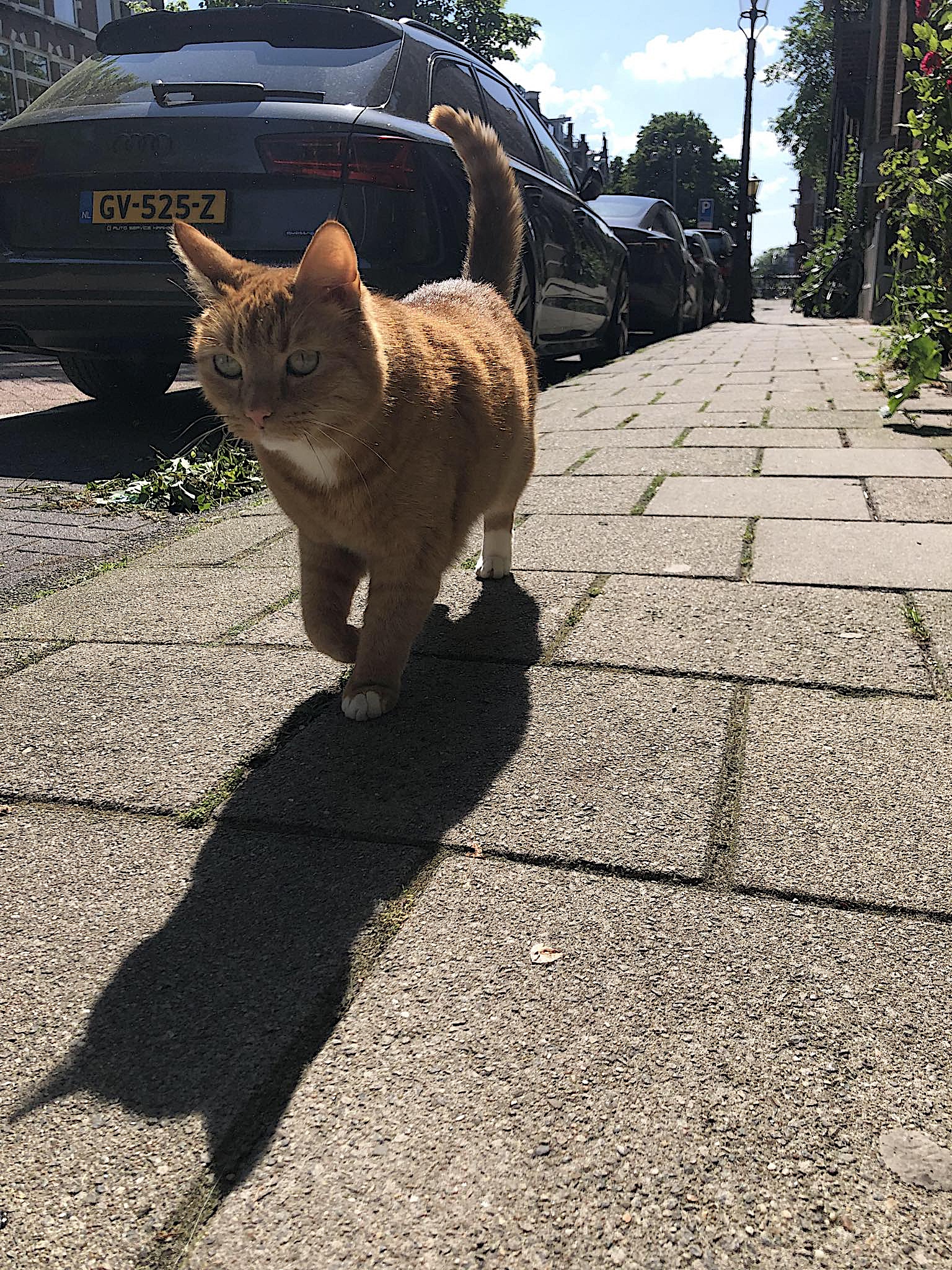 442651118_304798756009229_5311582939884535186_n