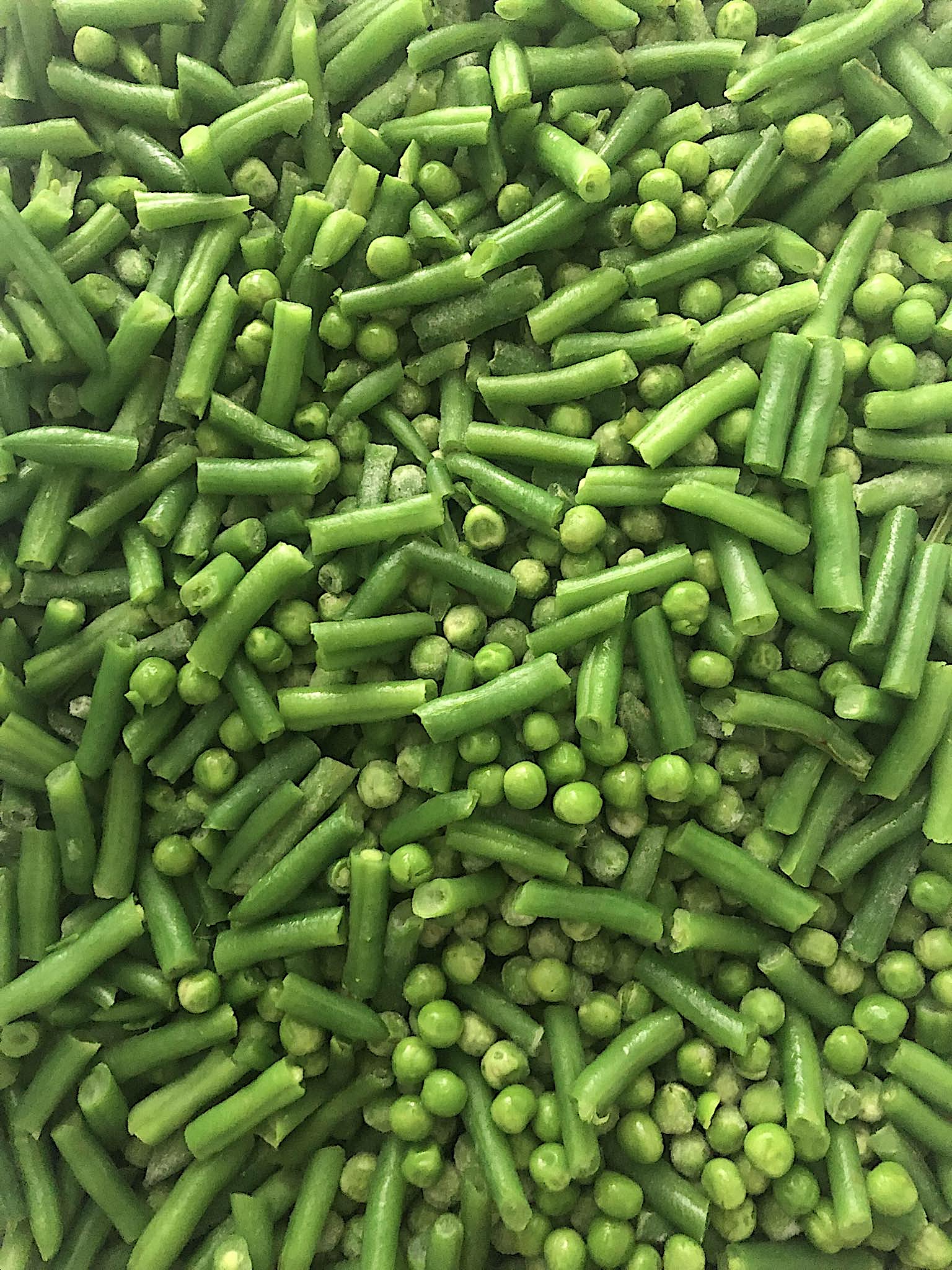 448807073_291190710755617_4651987827981315358_n