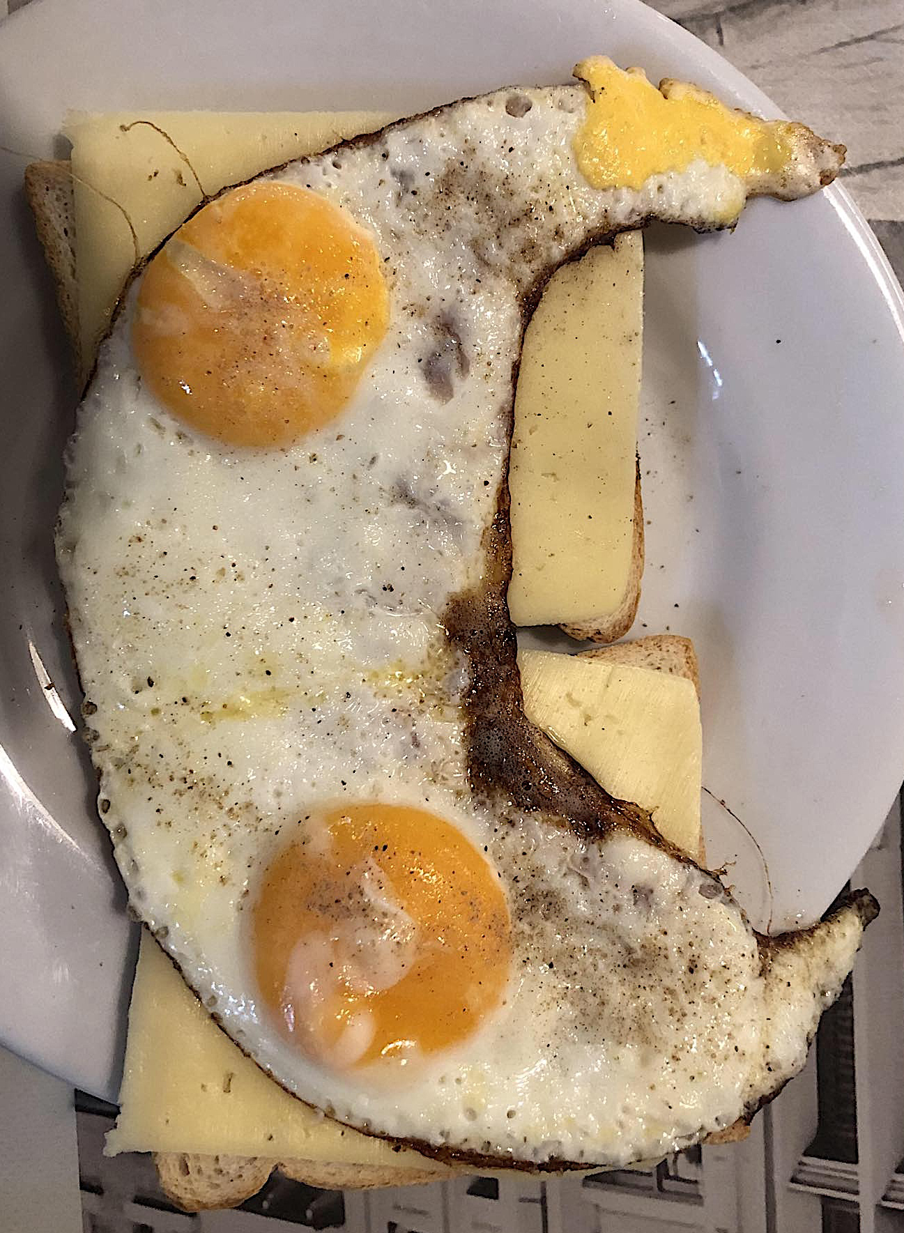 462573538_1031150565451470_4357507634174733112_n