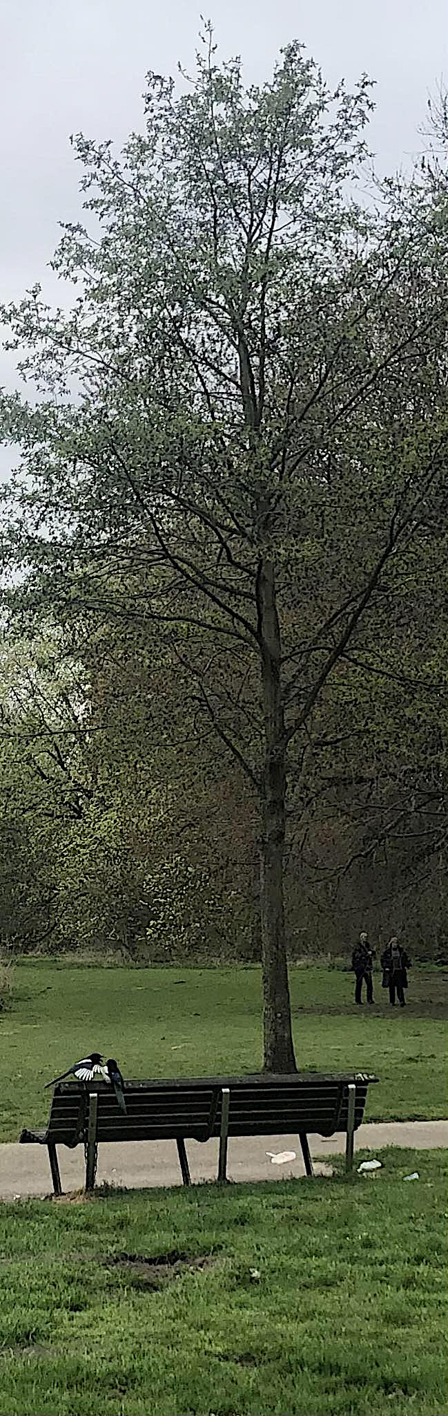 488158066_642935022044455_1353590528282459937_n (1)