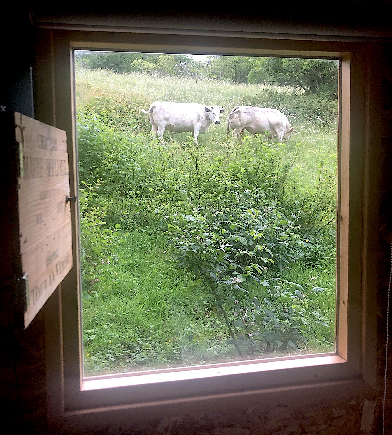 2db0626e-4ff6-4054-851e-b235e2a1c397