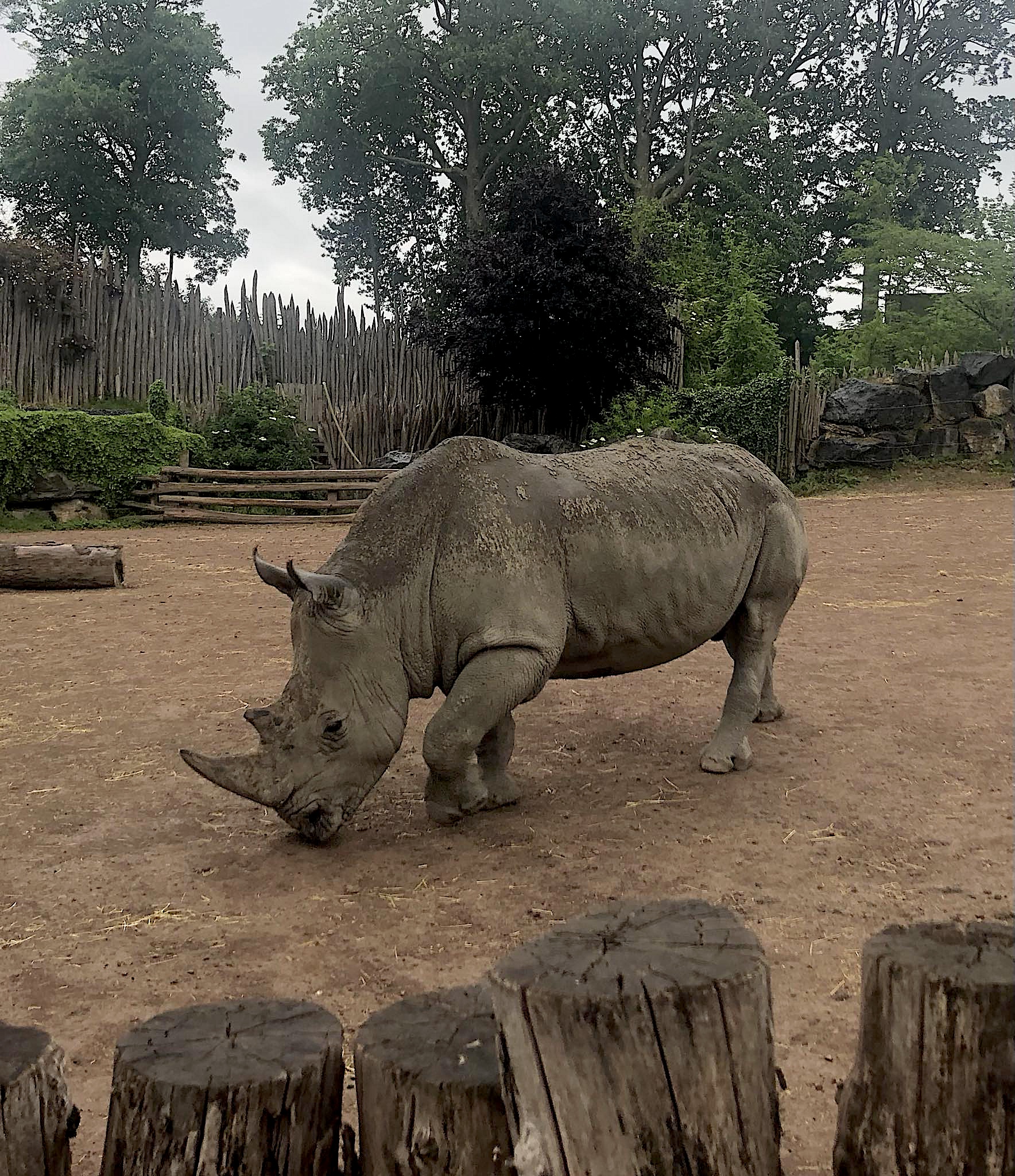 B6d71535-3f51-4217-9d10-24aa4d6e16c6