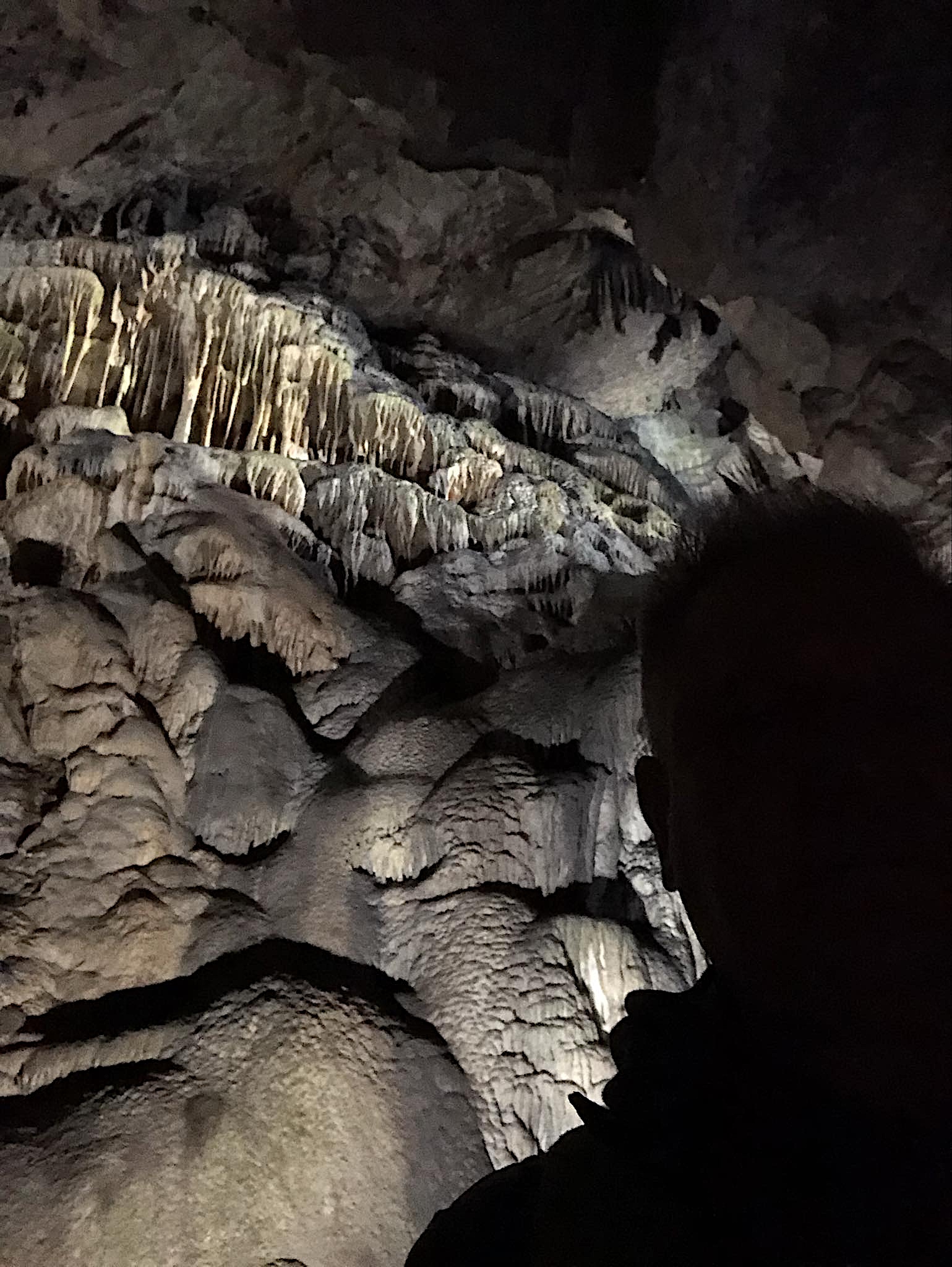 Bf6bdd73-b01f-4cc7-a681-a996a93a39c8