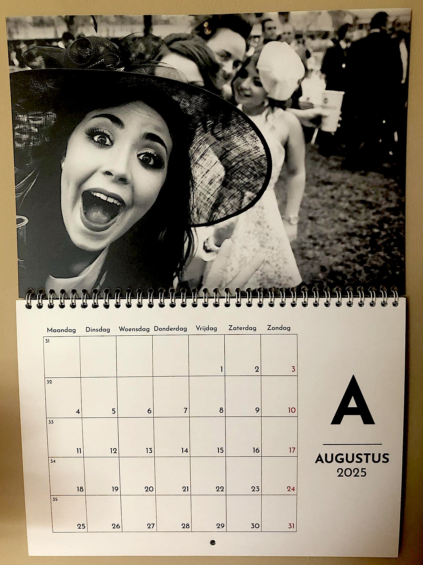 49e6963f-3c8a-44ce-98eb-810e663cb8ba