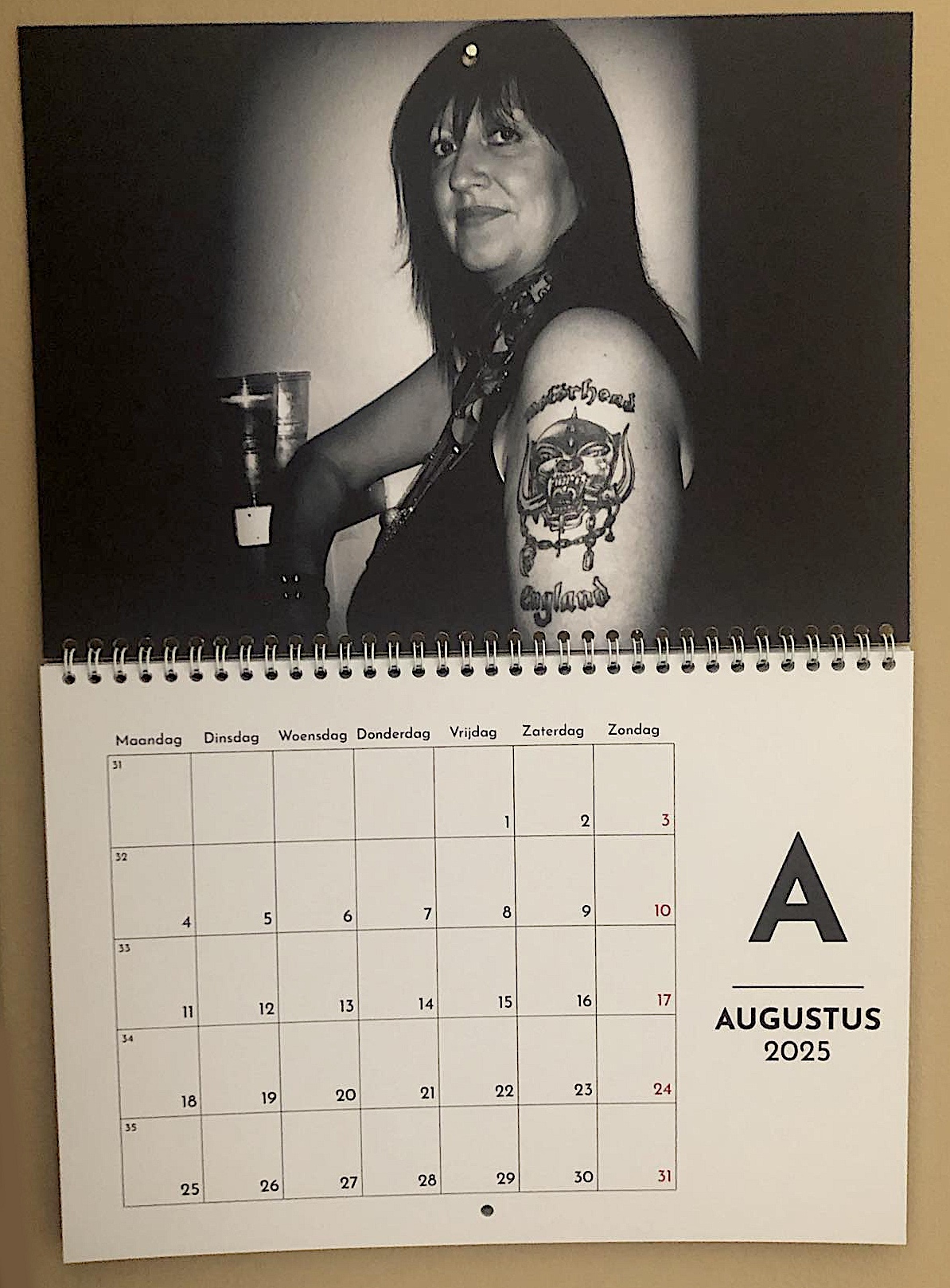 A5e2135b-cdc8-451c-b636-d45e6666a464